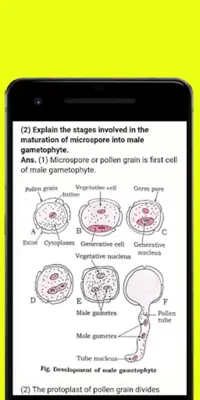 12th Science Notes 2022 android App screenshot 0